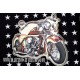 PLAQUE MOTO EASY RIDERS LED