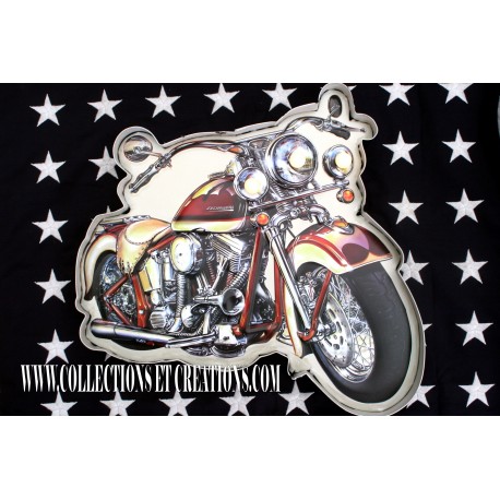 PLAQUE MOTO EASY RIDERS LED