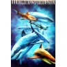 CADRE POSTER 3 " SHARKS"