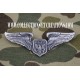 BADGE WING AIR FORCE AIRCREW (OFFICER)