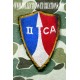 PATCH 2e CORPS D'ARMEE A.F