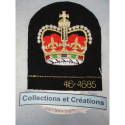 INSIGNE COMPANY SERGEANT MAJOR (CSM)