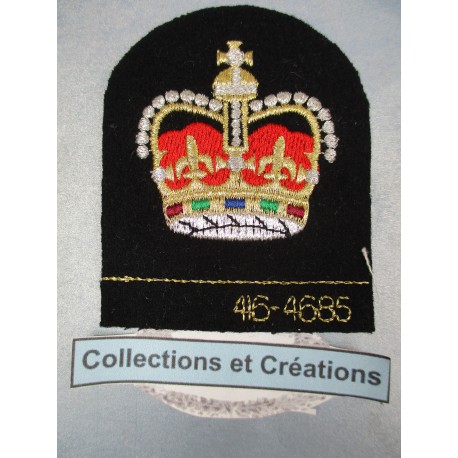 INSIGNE COMPANY SERGEANT MAJOR (CSM)