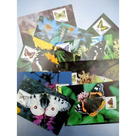 11 CARTES MAXIMUM PAPILLONS