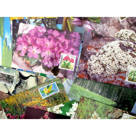 19 CARTES MAXIMUM NATURE