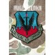 PATCH TACTICAL AIR COMMAND SUBDUED