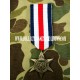 MEDAILLE THE FRANCE & GERMANY STAR (COPY)