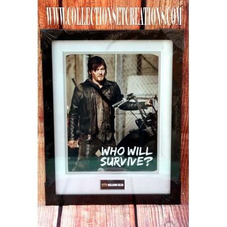 CADRE POSTER WALKIND DEAD WHO WILL SURVIVE ?
