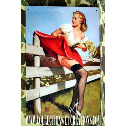 PLAQUE PIN-UP AT THE FENCE