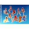 LOT 10 STICKERS PIN-UP SEXY