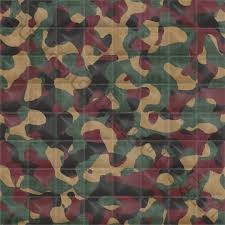 Camo belge